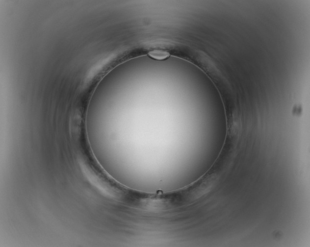 X0000114220448200910091351