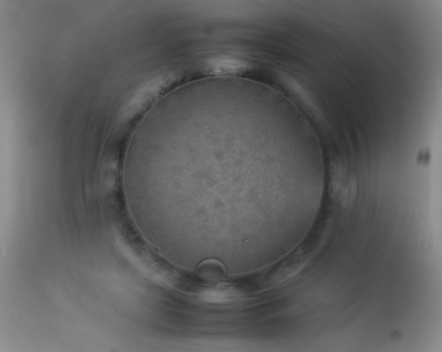 X0000114220451200910091351