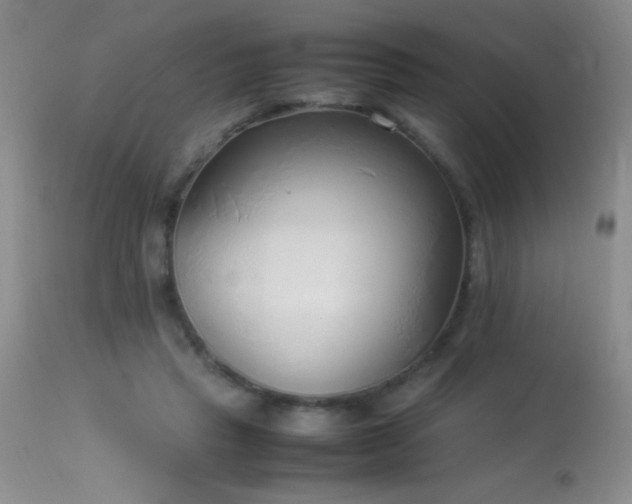 X0000114220453200910091351