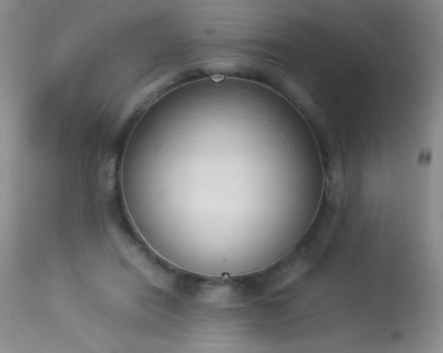 X0000114220454200910091351