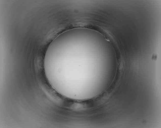 X0000114220455200910091351