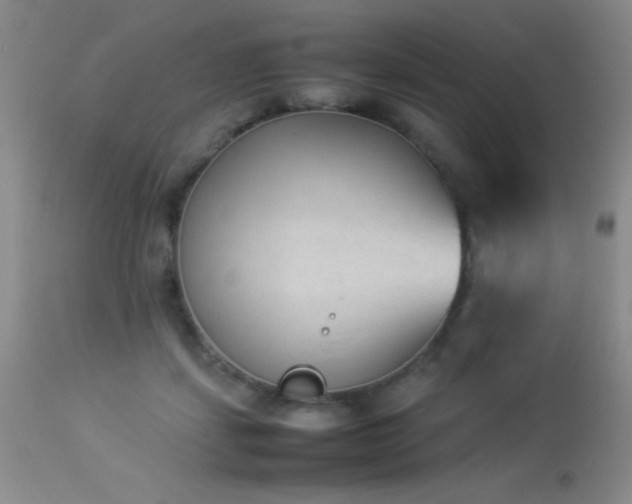 X0000114220459200910091351