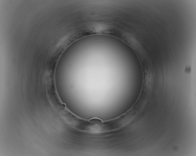 X0000114220461200910091351