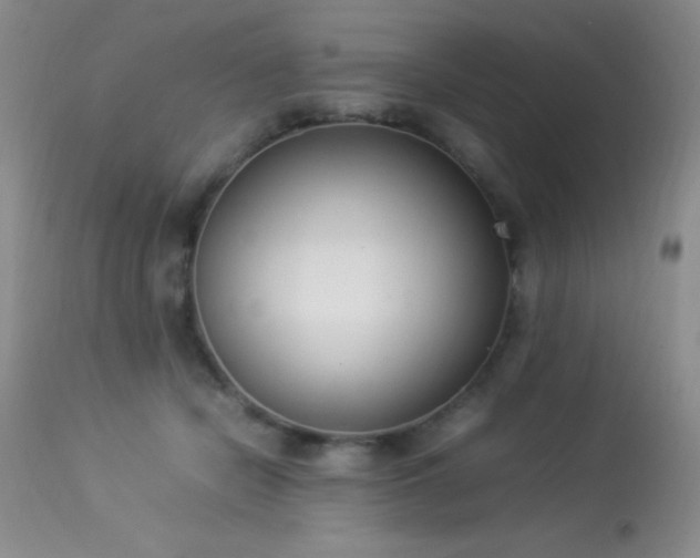 X0000114220462200910091351