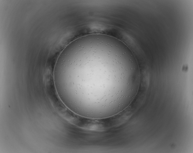 X0000114220463200910091351