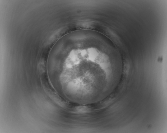 X0000114220465200910091352