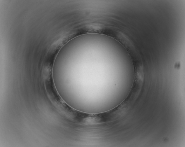 X0000114220468200910091352