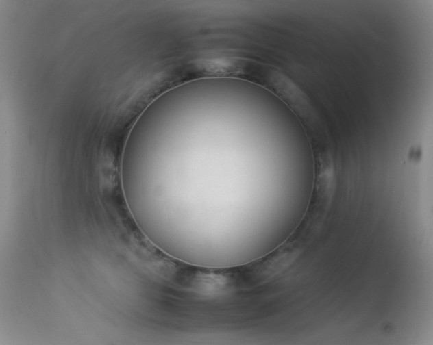 X0000114220469200910091352