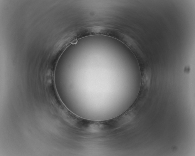 X0000114220470200910091352