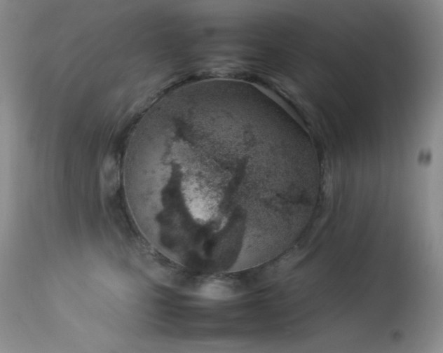 X0000114220471200910091352