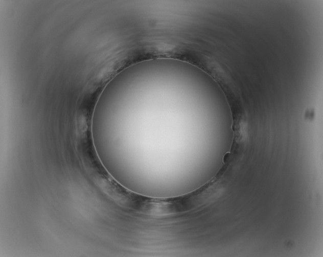 X0000114220472200910091352