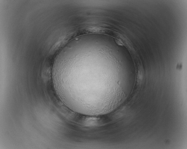 X0000114220473200910091352