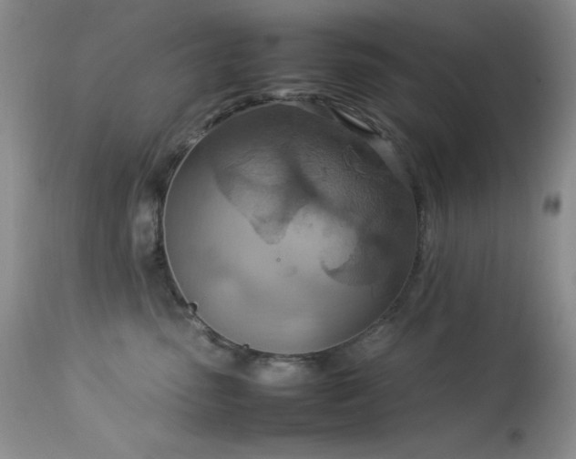 X0000114220475200910091352