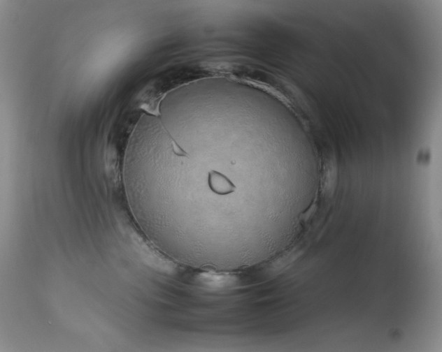 X0000114220477200910091352