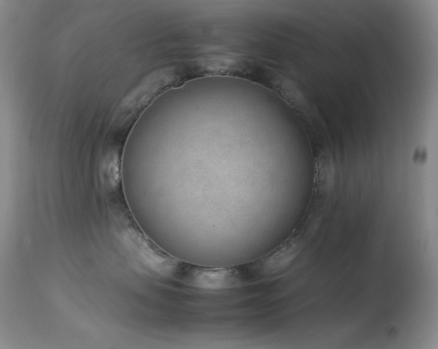 X0000114220479200910091352