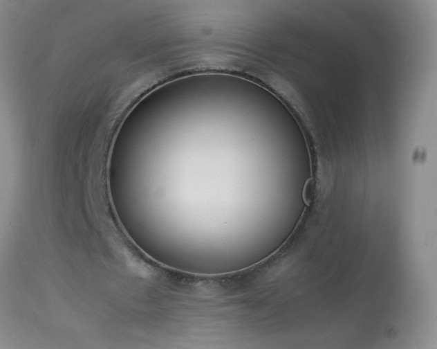 X0000114220481200910091351