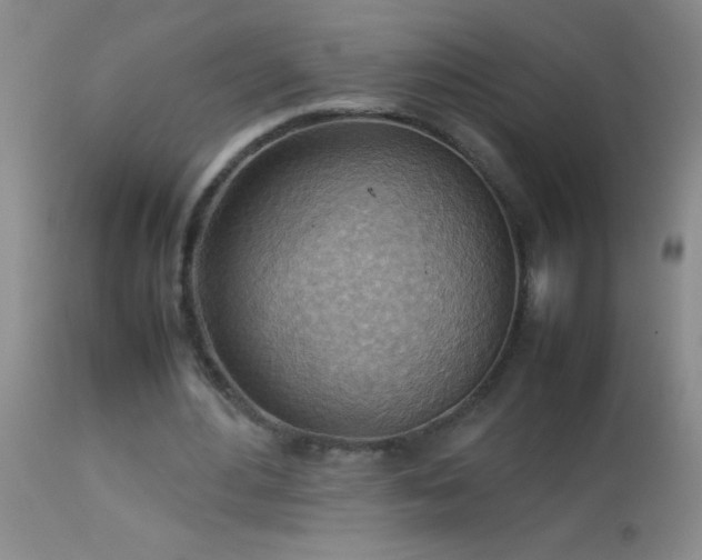 X0000114220484200910091351