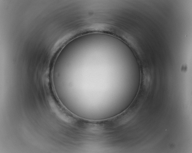 X0000114220486200910091351