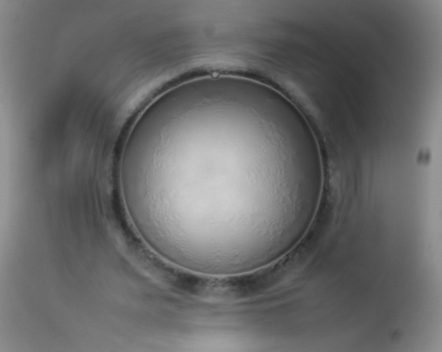 X0000114220487200910091351