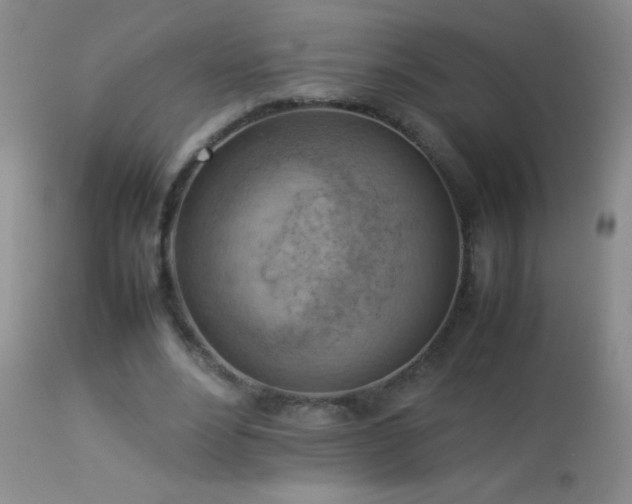 X0000114220488200910091351