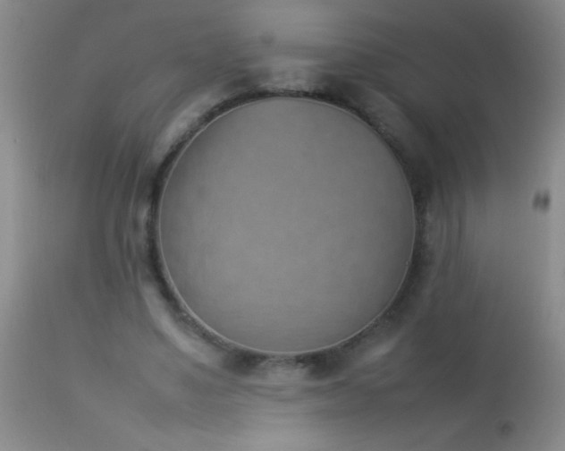 X0000114220491200910091351