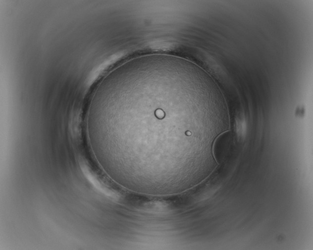 X0000114220492200910091351