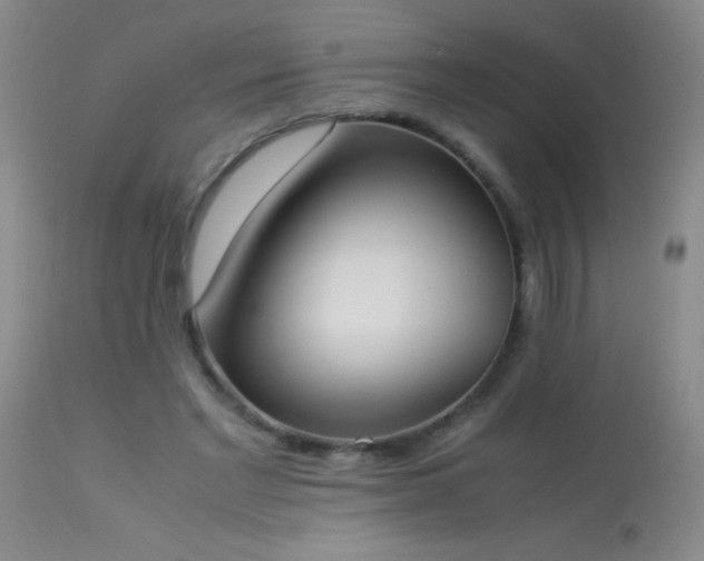 X0000114220493200910091351