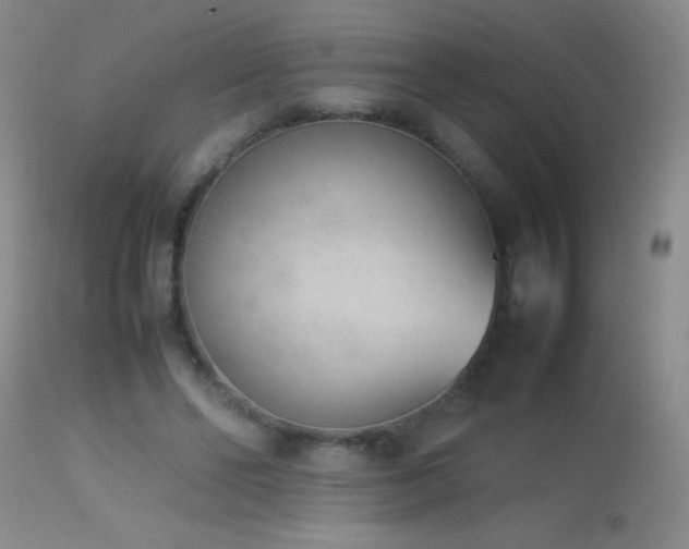 X0000114220494200910091351