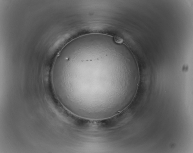 X0000114220495200910091351