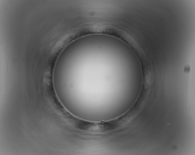 X0000114220497200910091351