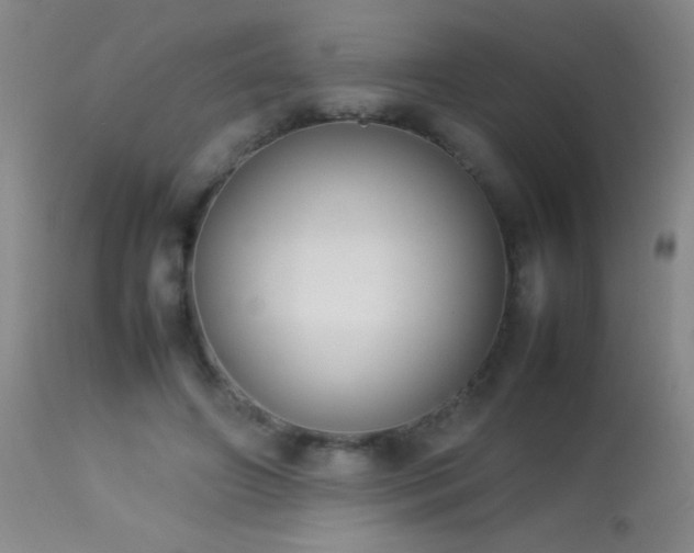 X0000114220498200910091351