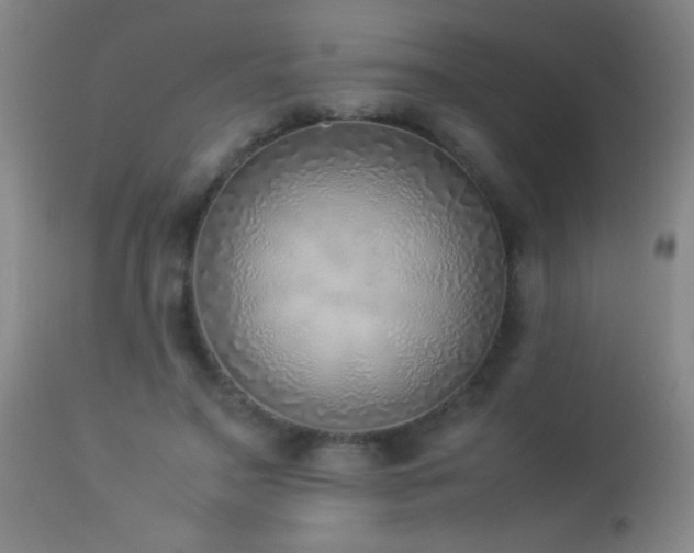 X0000114220499200910091351