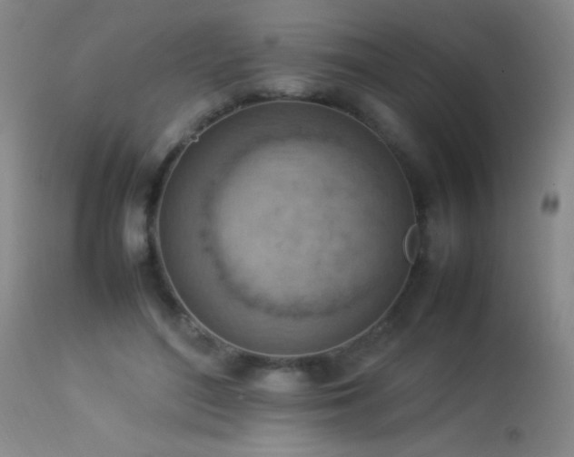 X0000114220500200910091351