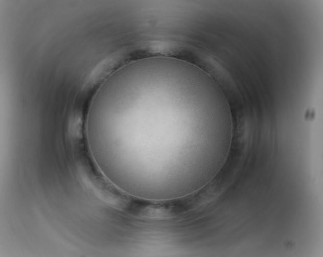 X0000114220502200910091350