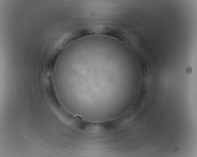 X0000114220503200910091350