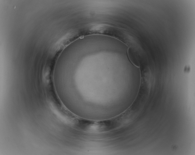 X0000114220504200910091350