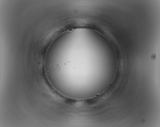 X0000114220505200910091350