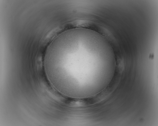 X0000114220506200910091350