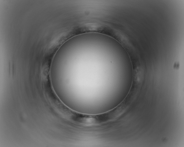 X0000114220509200910091350