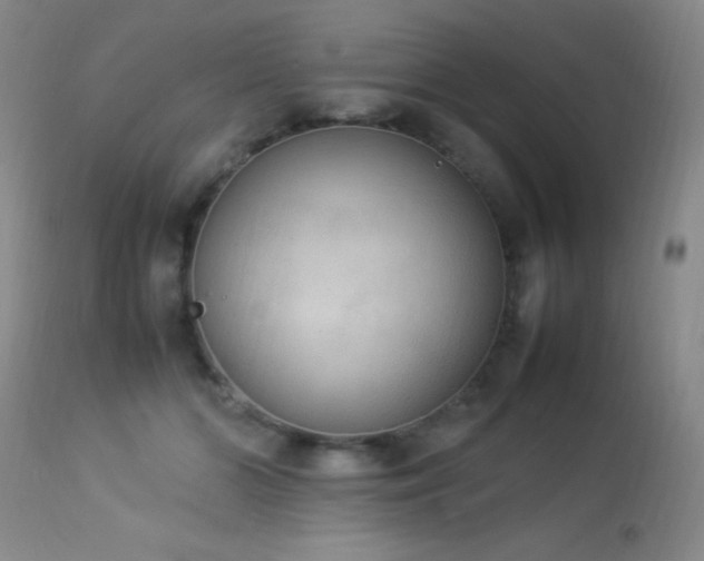 X0000114220510200910091350