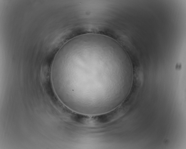 X0000114220511200910091350