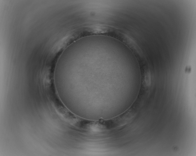 X0000114220512200910091350