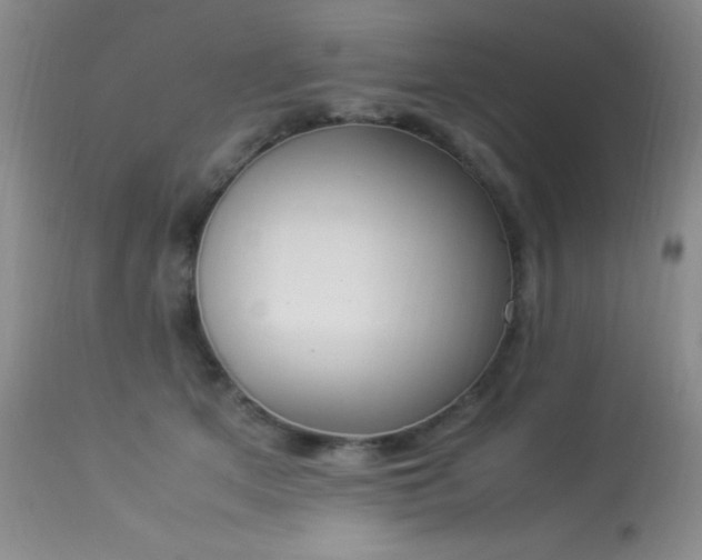 X0000114220513200910091350