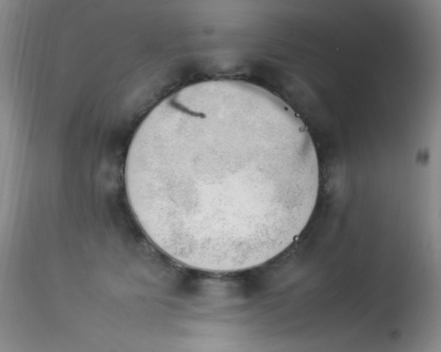 X0000114220515200910091350