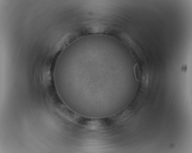 X0000114220516200910091350