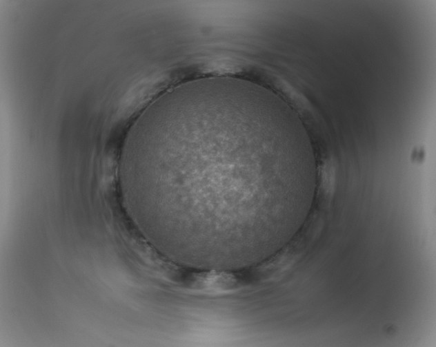 X0000114220517200910091350