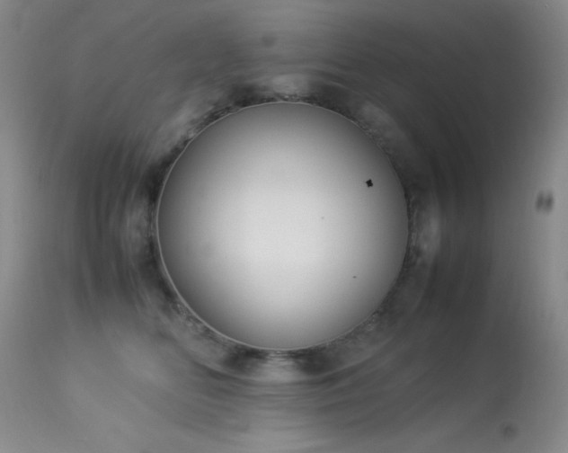 X0000114220518200910091350