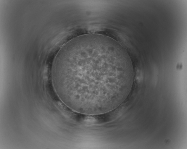 X0000114220519200910091350