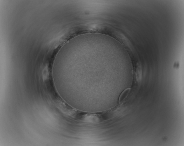 X0000114220520200910091350