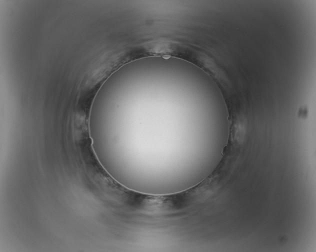 X0000114220521200910091350